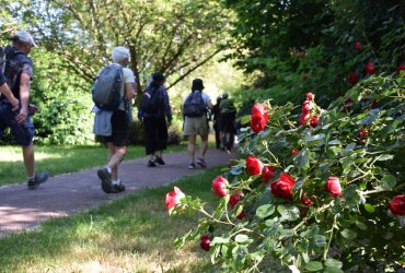 JOURNÉE DE LA RANDONÉE DE L'ASSOCIATION MILLE-PATTES - SAMEDI 3 JUIN 2023