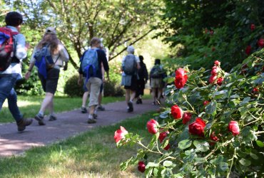 JOURNÉE DE LA RANDONÉE DE L'ASSOCIATION MILLE-PATTES - SAMEDI 3 JUIN 2023