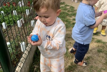 CHASSE AUX OEUFS CRÈCHE DU CENTRE - 10 MAI 2022