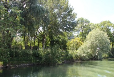 LES PASSEURS DE MARNE