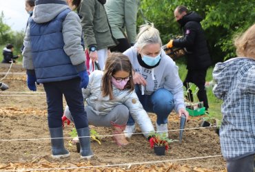 LE CLUB DES PETITS PLANTEURS