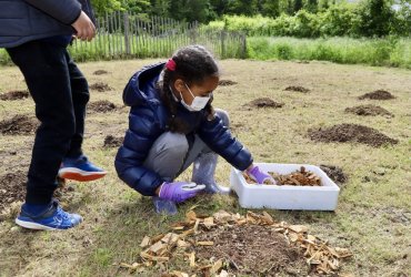 LE CLUB DES PETITS PLANTEURS