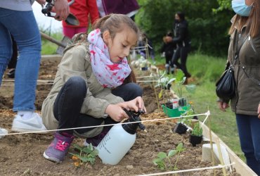 LE CLUB DES PETITS PLANTEURS