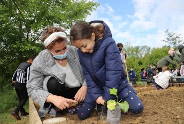 LE CLUB DES PETITS PLANTEURS