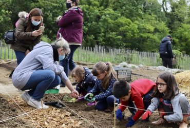 LE CLUB DES PETITS PLANTEURS