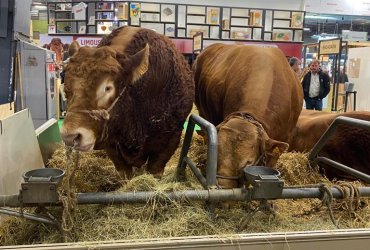 LES ENFANTS DE LA MCJ AU SALON DE L'AGRICULTURE 2022