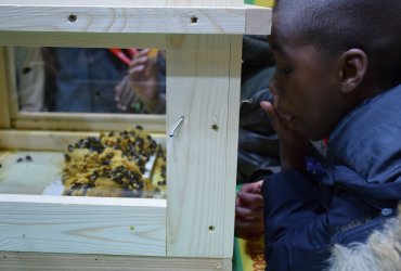 SALON DE L'AGRICULTURE 2023 : VISITE DES ENFANTS DE LA MCJ