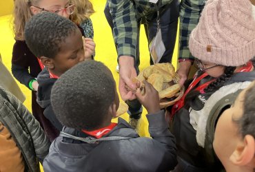 SALON DE L'AGRICULTURE 2023 : VISITE DES ENFANTS DE LA MCJ