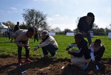 OPÉRATION TOURNESOL 2023 : LE SEMIS - AVRIL 2023