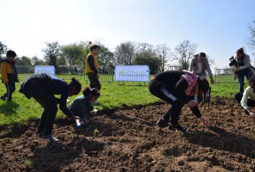 OPÉRATION TOURNESOL 2023 : LE SEMIS - AVRIL 2023