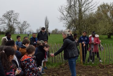 DU BLÉ AU PAIN : LE SEMIS AVEC LES ENFANTS DES CENTRES DE LOISIRS