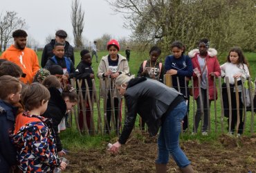 DU BLÉ AU PAIN : LE SEMIS AVEC LES ENFANTS DES CENTRES DE LOISIRS