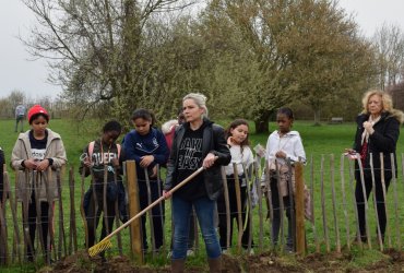 DU BLÉ AU PAIN : LE SEMIS AVEC LES ENFANTS DES CENTRES DE LOISIRS