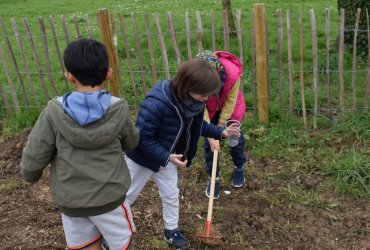 DU BLÉ AU PAIN : LE SEMIS AVEC LES ENFANTS DES CENTRES DE LOISIRS