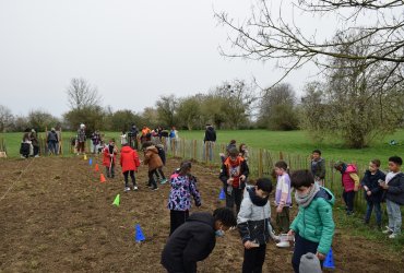 DU BLÉ AU PAIN : LE SEMIS AVEC LES ENFANTS DES CENTRES DE LOISIRS