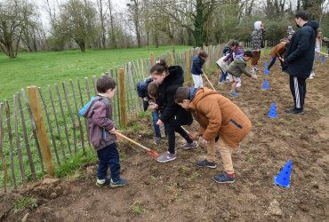 DU BLÉ AU PAIN : LE SEMIS AVEC LES ENFANTS DES CENTRES DE LOISIRS