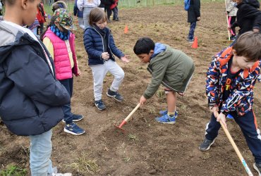 DU BLÉ AU PAIN : LE SEMIS AVEC LES ENFANTS DES CENTRES DE LOISIRS