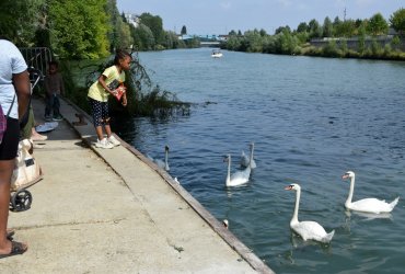 WEEK-END AU BORDS DE MARNE : LA TERRASSE & LES NAVETTES