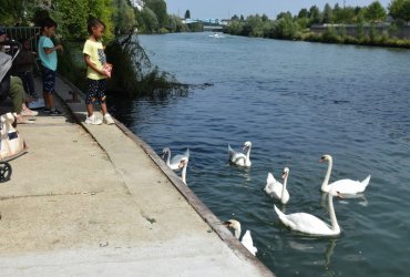 WEEK-END AU BORDS DE MARNE : LA TERRASSE & LES NAVETTES