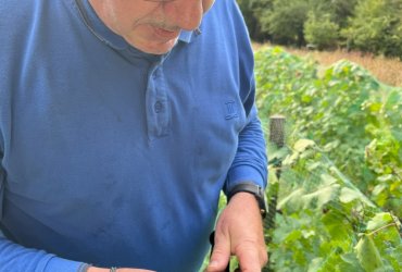 VENDANGES AU PARC DES COTEAUX D'AVRON - 21 SEPTEMBRE 2023