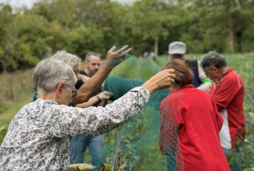 VENDANGES AU PARC DES COTEAUX D'AVRON - 21 SEPTEMBRE 2023