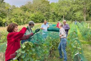 VENDANGES AU PARC DES COTEAUX D'AVRON - 21 SEPTEMBRE 2023