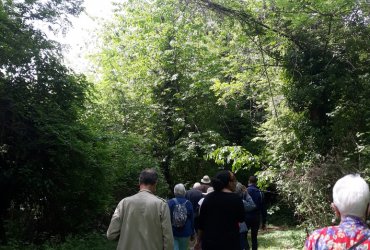 VISITE DU BIOTOPE DES ALISIERS - 14 MAI 2022