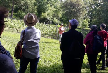 VISITE DU BIOTOPE DES ALISIERS - 14 MAI 2022