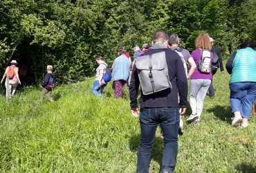 VISITE DU BIOTOPE DES ALISIERS - 14 MAI 2022