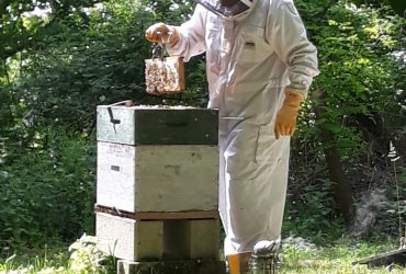 VISITE DU BIOTOPE DES ALISIERS - 14 MAI 2022