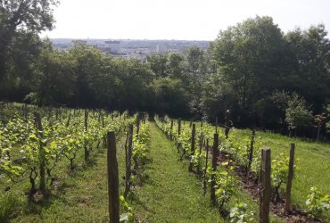 VISITE DU BIOTOPE DES ALISIERS - 14 MAI 2022