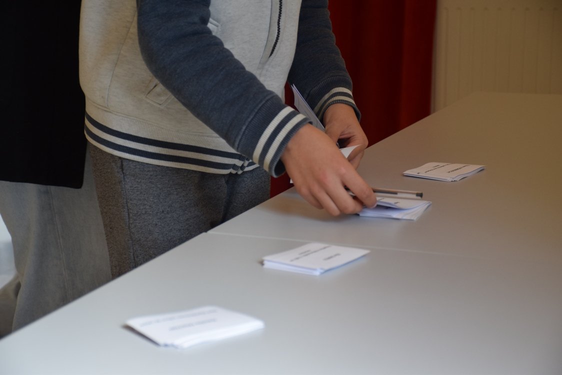 LES ÉCOLES VOTENT POUR LE PRIX DU LIONCEAU NOIR