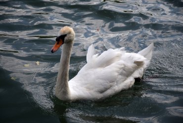 UN WEEKEND AUX BORDS DE MARNE - JUILLET 2023