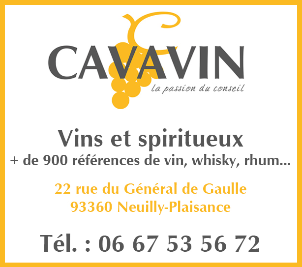 CAVAVIN 1