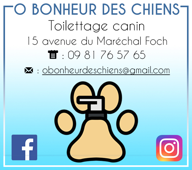 O BONHEUR DES CHIENS 1